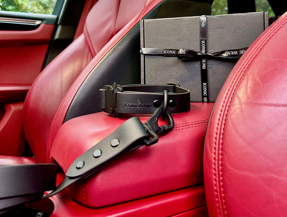 Embrace Style and safety with Iconic Hound: Fashionable Dog Leads and Collars Made from Biothane