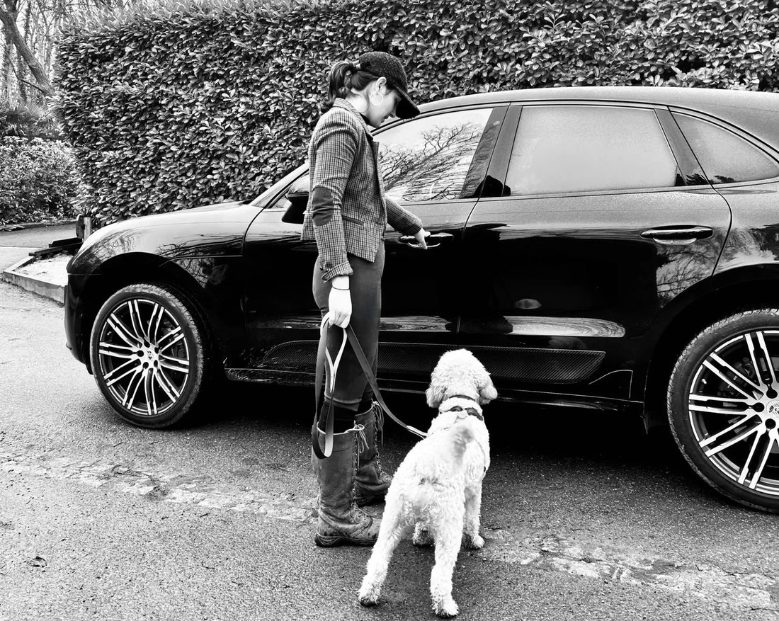 Traveling with Your Canine Companion: Tips for a Pawsome Journey