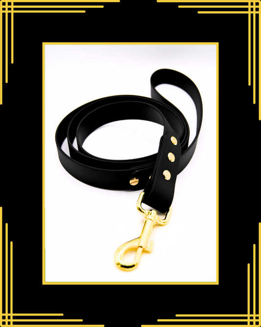 The Axel Lead – Limited Edition