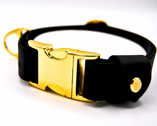 The Axel Collar – Limited Edition