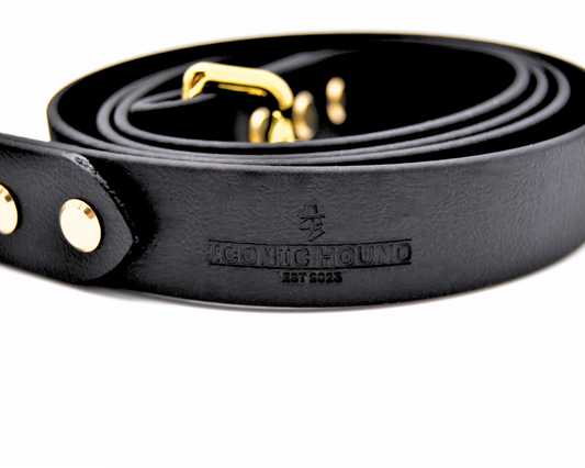 The Axel Lead – Limited Edition