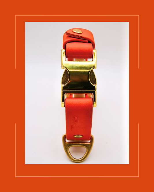 The Orange Huntsman Collar