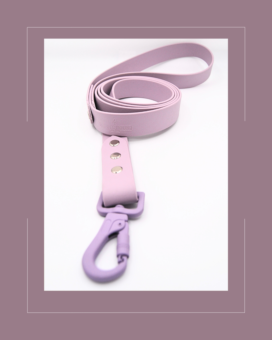 Lavender Lead