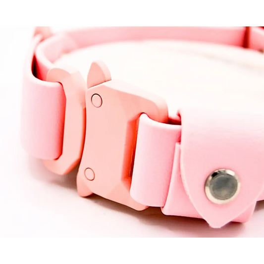 Candy Floss Pink Collar