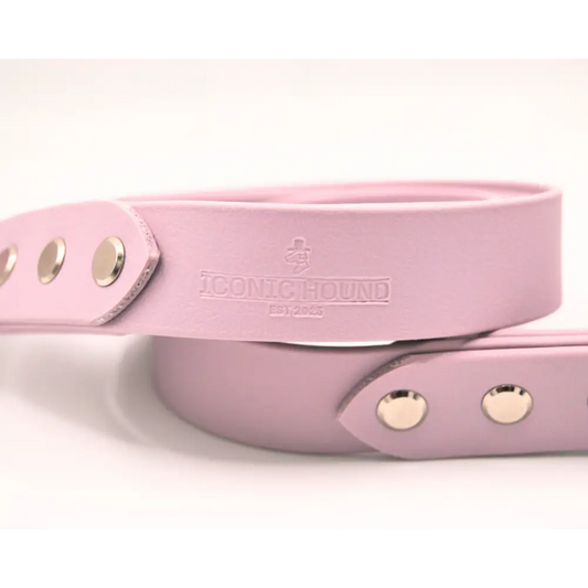 Lavender Lead