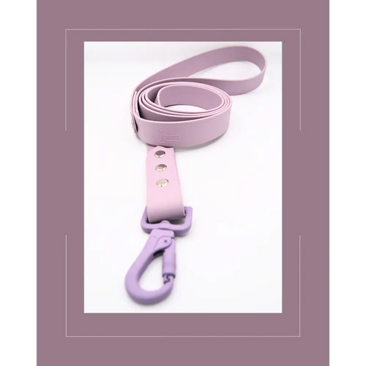 Lavender Lead