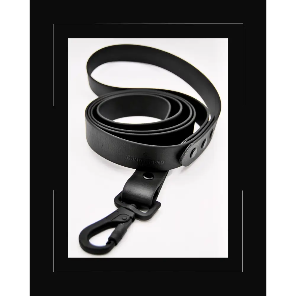 Noir Lead