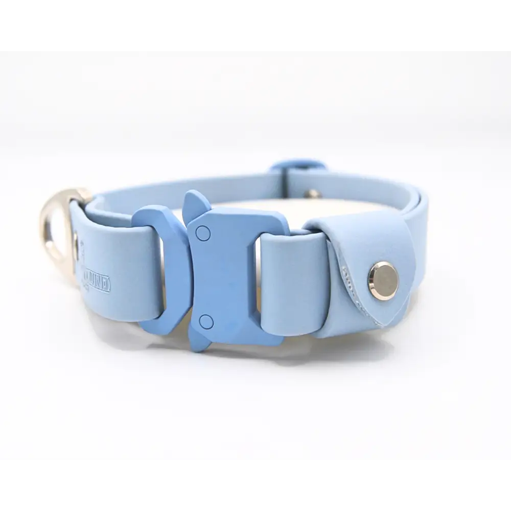 Sky Blue Collar