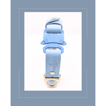 Sky Blue Collar