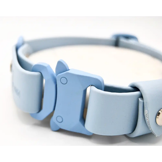 Sky Blue Collar