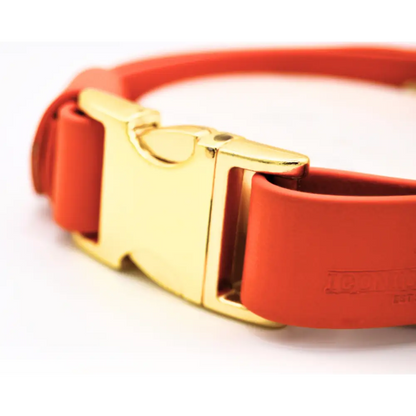 The Orange Huntsman Collar