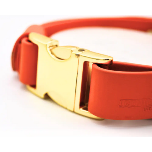 The Orange Huntsman Collar