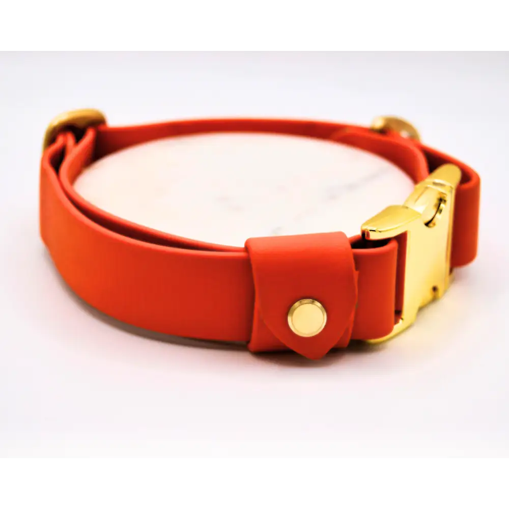 The Orange Huntsman Collar
