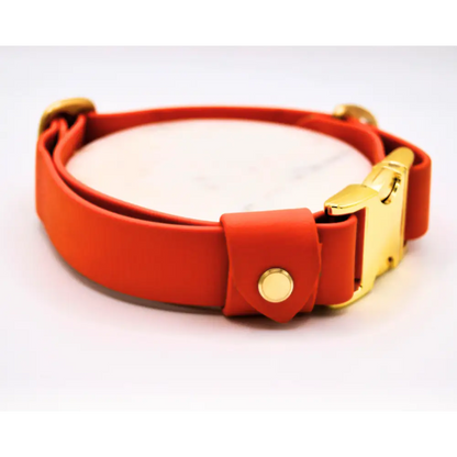 The Orange Huntsman Collar