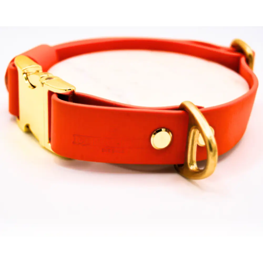 The Orange Huntsman Collar