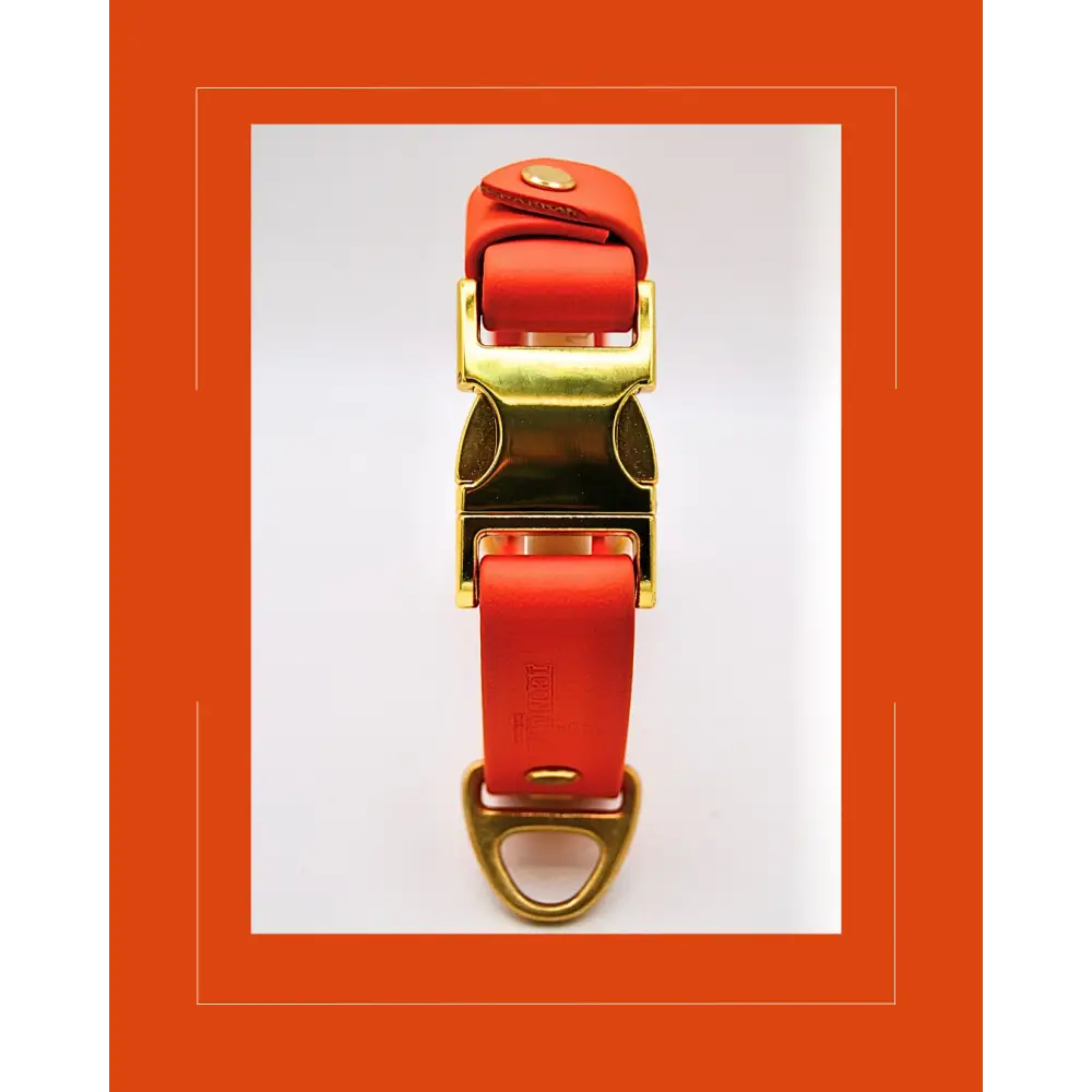 The Orange Huntsman Collar