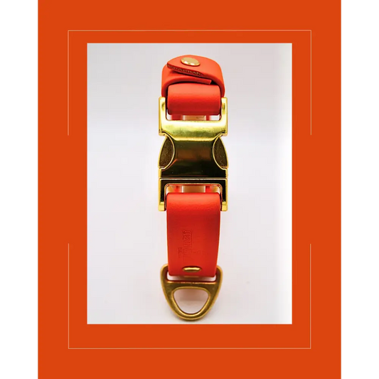 The Orange Huntsman Collar